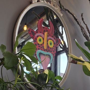 Casa Cactus - Coffee & Tea Near Me - Chicago, Illinois