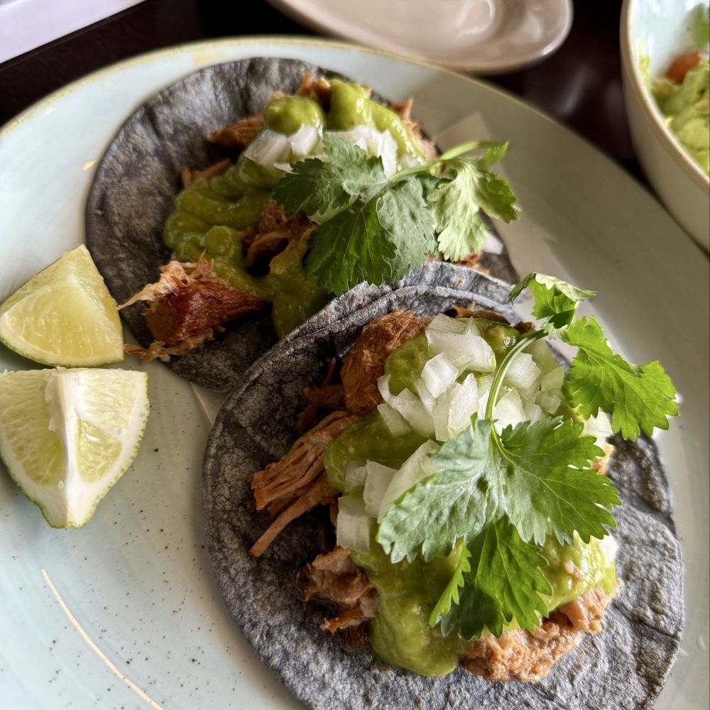 Pajarito - Pork Carnitas Tacos - Mexican Near Me - Edina, Minnesota