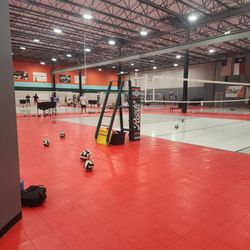 Roots Volleyball