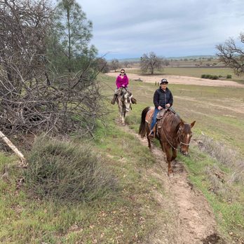 Central Coast Trailrides - Horseback Riding Near Me