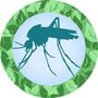 Photo of Rhodes Mosquito Relief