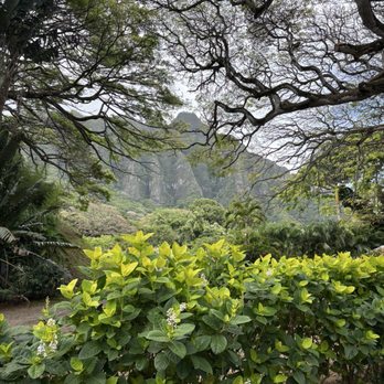 Kualoa Ranch - Tours Near Me - Kaneohe, Hawaii