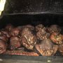 Photo of G's Bbq