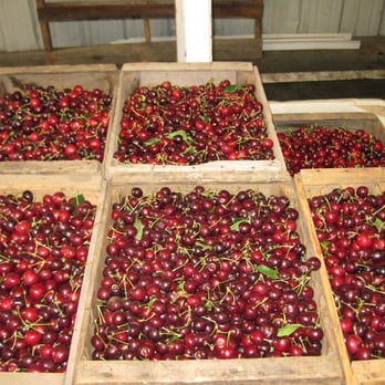 Ralph's Cherry Hut - a variety of cherries - Farmers Market Near Me - Gilroy, California Ralph's Cherry Hut - a variety of cherries - Farmers Market Near Me - Gilroy, California