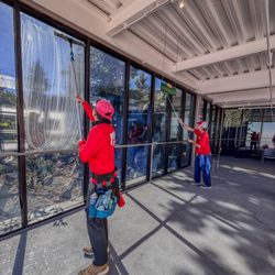 Fish Window Cleaning