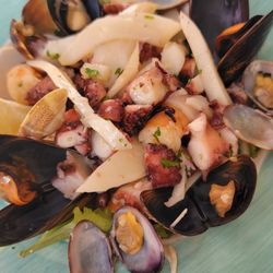 Cupptiè - Seafood cuttlefish salad