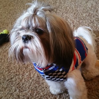 Pampered Pet - Master Kili - Pet Groomers Near Me - Riverside, California Pampered Pet - Master Kili - Pet Groomers Near Me - Riverside, California