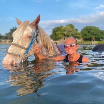 Florida Beach Horses - Beaches Near Me - Bradenton, Florida
