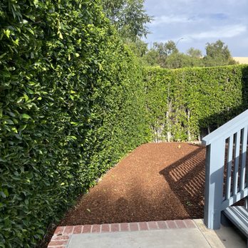Jose’s Lawn Service & Hardscaping - After - Landscaping Near Me