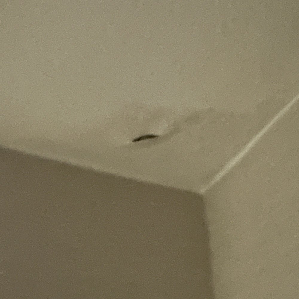 Marriott Riverside at the Convention Center - ceiling leaking - Hotels Near Me - Riverside, California Marriott Riverside at the Convention Center - ceiling leaking - Hotels Near Me - Riverside, California