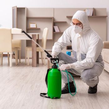 Anti-Termite & Pest Control - Pest Control Near Me - Prince George, Virginia Anti-Termite & Pest Control - Pest Control Near Me - Prince George, Virginia
