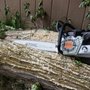 Rivers tree pros
