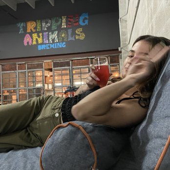 Tripping Animals Brewing - Breweries Near Me - Doral, Florida