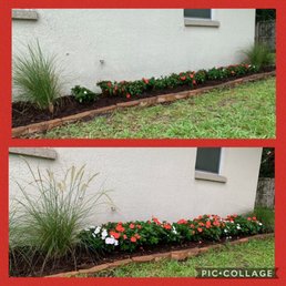 Before and after (only purchased New Guinea impatiens from H&H nursery) Before and after (only purchased New Guinea impatiens from H&H nursery)