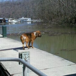 Sligo Marina