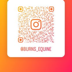 Burns Equine