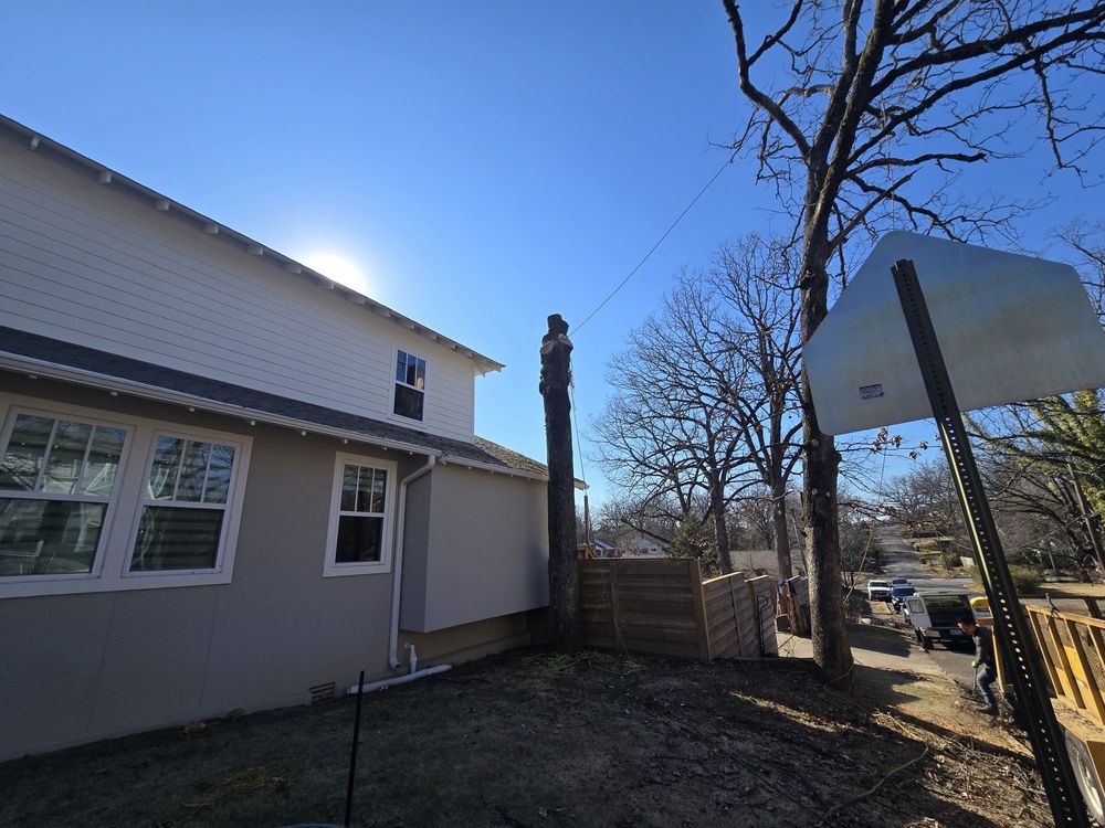 Albertos Tree Service - tree service in Little Rock, AR