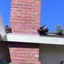 Photo of Integrity First Roofing