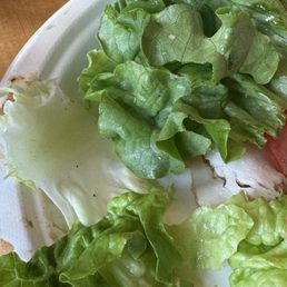 Fly and dirt in lettuce