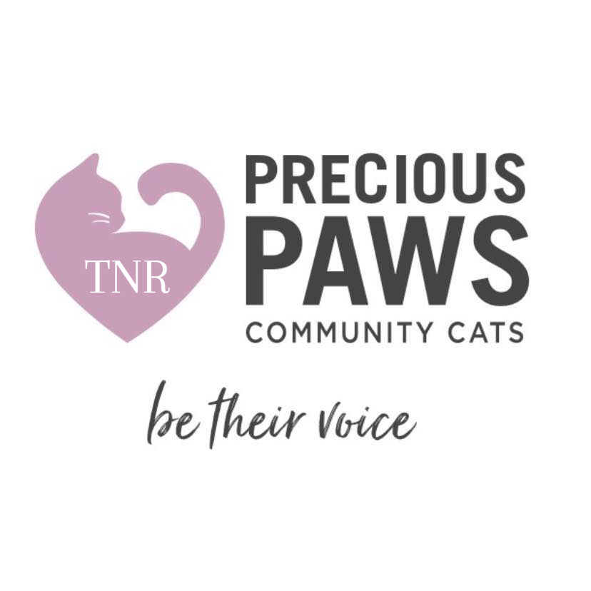 PRECIOUS PAWS COMMUNITY CATS Updated August 2024 Request