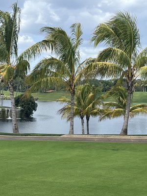 Trump International Golf Club West Palm Beach by null