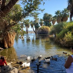 Yuma Conservation Garden