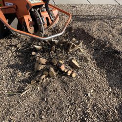 United One Landscape Management - Stump grinding in Kingman.
