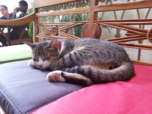 Discovery Hostel Rio by null