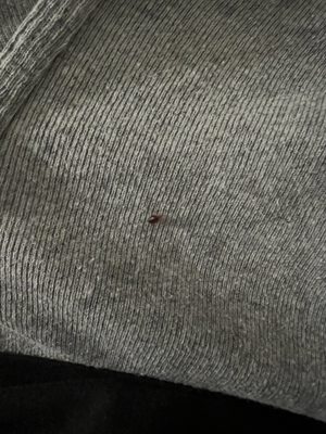 Comfort Inn Los Angeles near Hollywood by null