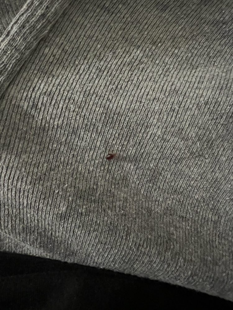 Comfort Inn Los Angeles Near Hollywood