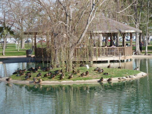 Arthur Storey Park by null