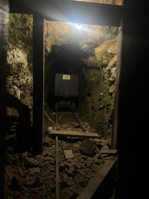Reed Gold Mine by null