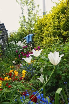 The World of Beatrix Potter Attraction by null