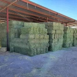 Southeast Family Farm