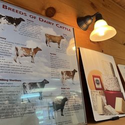 Plymouth Cheese - Interesting dairy tidbits line the entrance