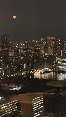 The Royal Park Hotel Tokyo Shiodome by null