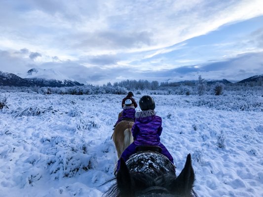 Alaska Horse Adventures, LLC by null
