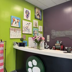 The Pampered Pet Hotel & Spa - Check in