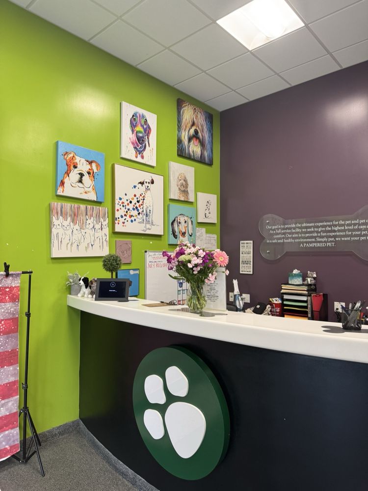 The Pampered Pet Hotel & Spa - pet boarding facility in Woodland Hills, CA