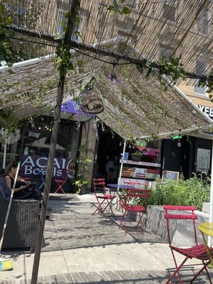 Bamboo Tropical by null