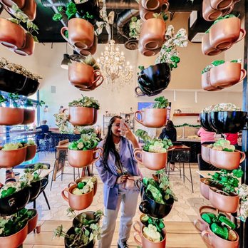 The Coffee Class - Coffee & Tea Near Me - Las Vegas, Nevada The Coffee Class - Coffee & Tea Near Me - Las Vegas, Nevada