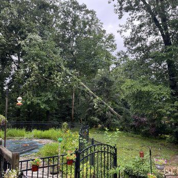 Tree Masters of Danbury - Tree Services Near Me - Danbury, Connecticut Tree Masters of Danbury - Tree Services Near Me - Danbury, Connecticut