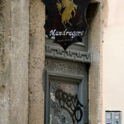 Mandragore
