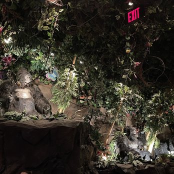 Rainforest Cafe - American Near Me - Ontario, California Rainforest Cafe - American Near Me - Ontario, California