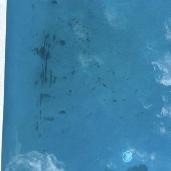 Paradise Pool Care - This is after they said they cleaned the pool. Funny - Pool Cleaners Near Me