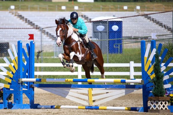 Georgia International Horse Park by null