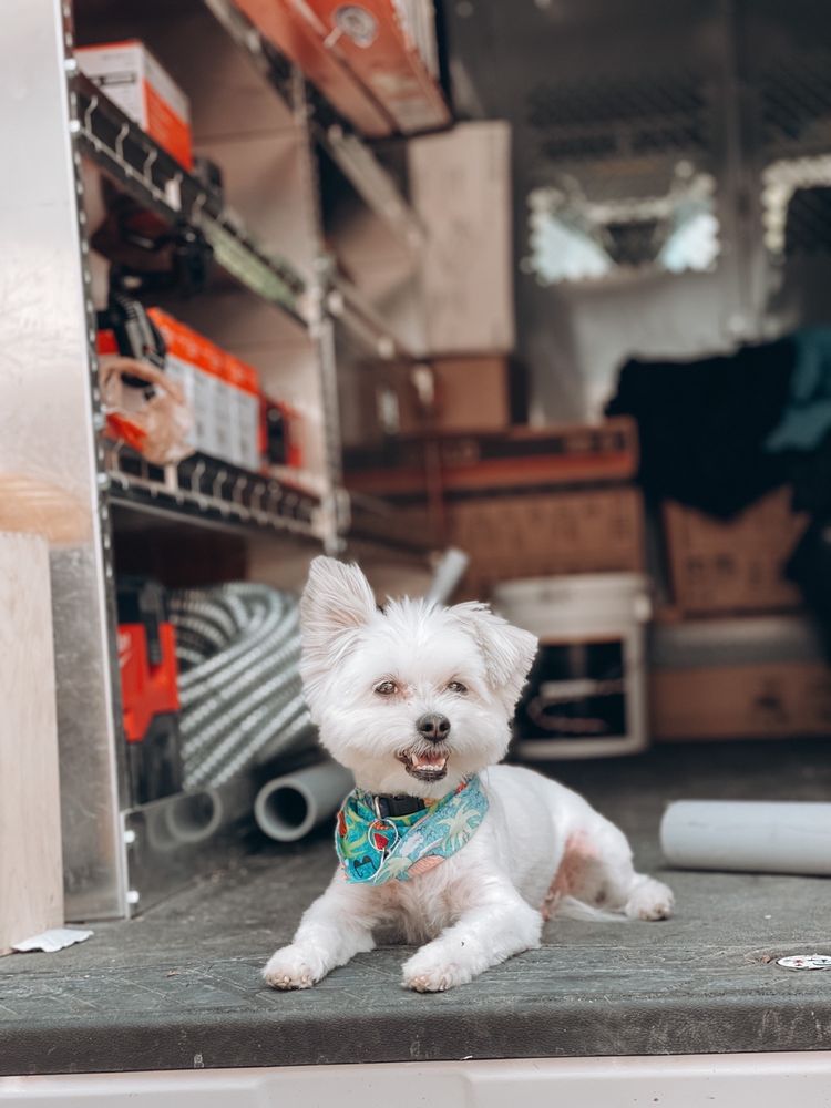 WHAT THE FLUFF Updated September 2024 203 E Gowe St, Kent