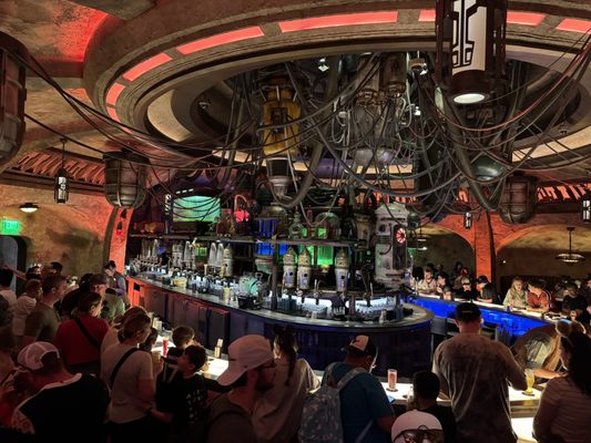 Oga's Cantina at the Walt Disney World Resort by null