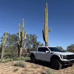 Kimber Creek Ford  - 2025 Ford Raptor R