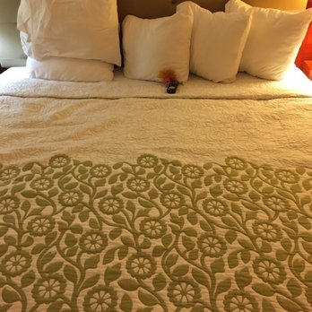 Days Inn by Wyndham Deming - Pretty bedding, OK amount of pillows but would've liked 1 more. - Hotels Near Me - Deming, New Mexico Days Inn by Wyndham Deming - Pretty bedding, OK amount of pillows but would've liked 1 more. - Hotels Near Me - Deming, New Mexico